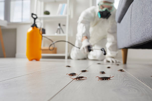 Trusted Cockroach Control service in Fond du Lac, WI - Nex Pest Control